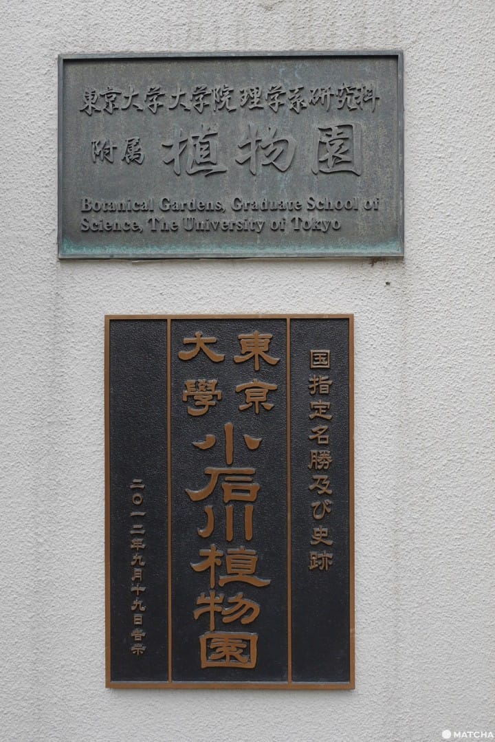 小石川植物园