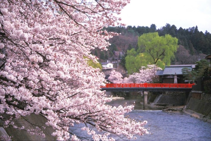 Takayama Complete Guide – 15 Things To Do, Access, And More