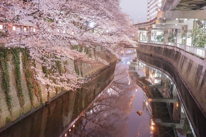 Japan's Seasons In Photos (1) - Lovely Cherry Blossoms