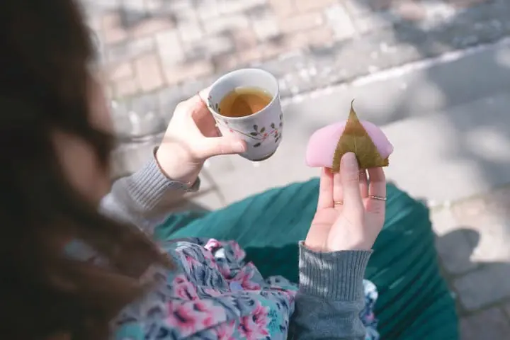 Japan's Seasons In Photos (1) - Lovely Cherry Blossoms