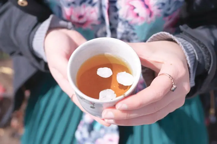 Japan's Seasons In Photos (1) - Lovely Cherry Blossoms