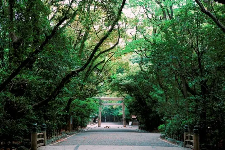 Nagoya shrine