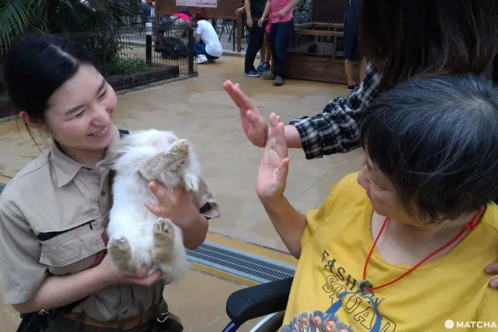 化不可能為可能！孝親自由行，帶長輩同遊不求人！
