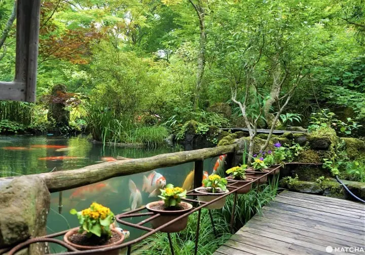 Step Into An Enchanted Forest! Tomo's Little Art Museum In Fukasawa, Tokyo