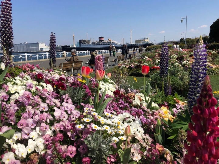 ซากุระหมดไม่ต้องเสียใจ! โยโกฮาม่ามีดอกไม้ให้ชมถึงมิถุนายนในงาน Garden Necklace Yokohama 2019