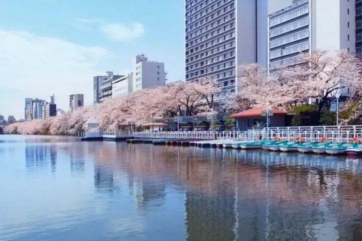 ボートに揺られながら優雅にお茶しよう！東京・神楽坂の「CANAL CAFE」