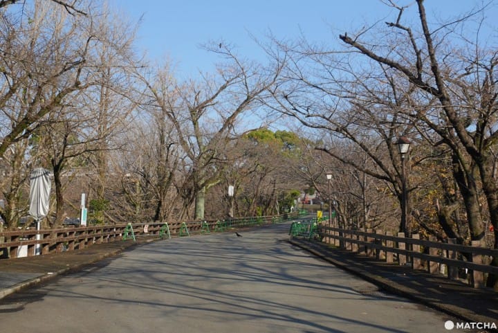 熊本城行幸坂