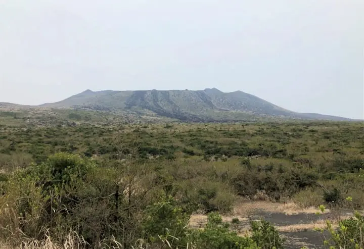 Japan, Off The Beaten Path (3) - Izu Oshima: Volcanoes And Cherry Blossoms