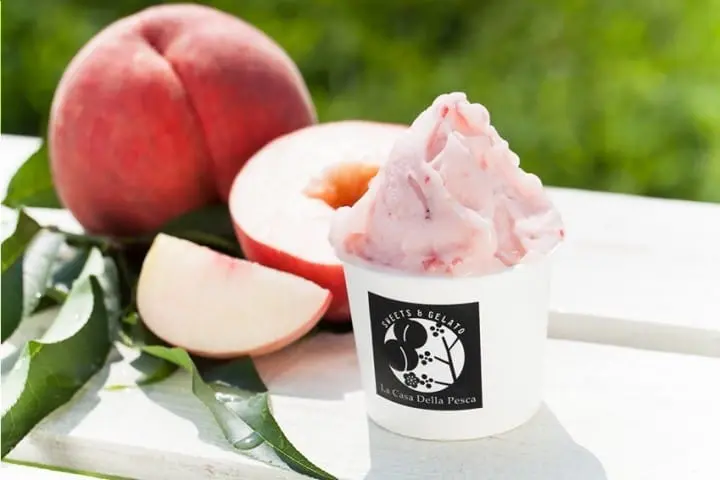 24 เมษายน - 6 พฤษภาคมนี้ไปทานกว่า 100 ไอศครีมชื่อดังจากทั่วประเทศที่กินซ่า!