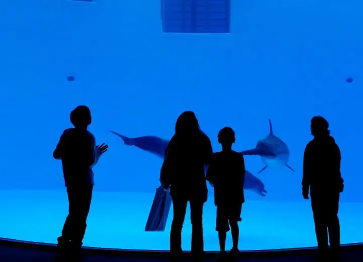 名古屋港水族館