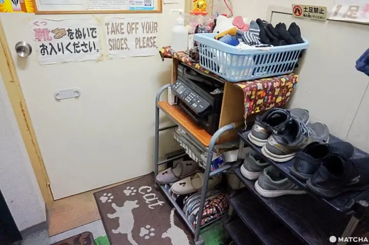 เที่ยวไม่เหมือนใครที่ คาเฟ่แมวจรหาบ้าน 