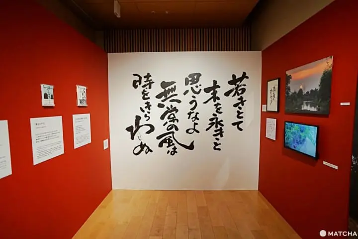 พาชมนิทรรศการจิบลิ ผ่านโลกแห่งคำพูดของ ซูซูกิ โทชิโอะ ที่อากิฮาบาระ (Akihabara)