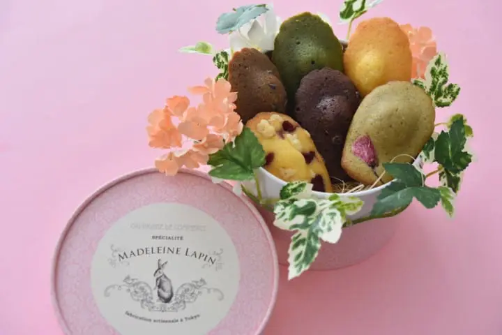Jiyugaoka Madeleine Lapin