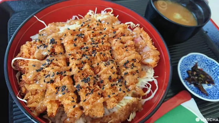 ชินโฮทากะโรปเวย์ (Shinhotaka Ropeway)