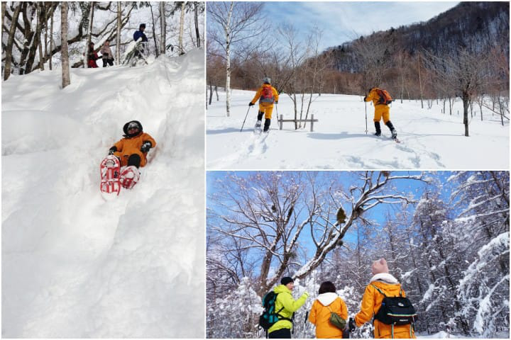 ชินโฮทากะโรปเวย์ (Shinhotaka Ropeway)