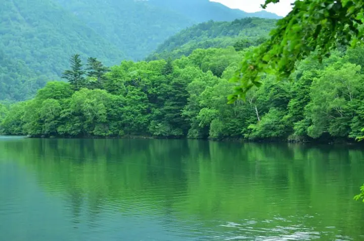 ゴールデンウィークの混雑を避けよう！東京近郊の穴場スポット6選(2019年版)