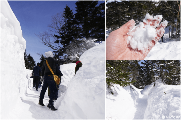 ชินโฮทากะโรปเวย์ (Shinhotaka Ropeway)