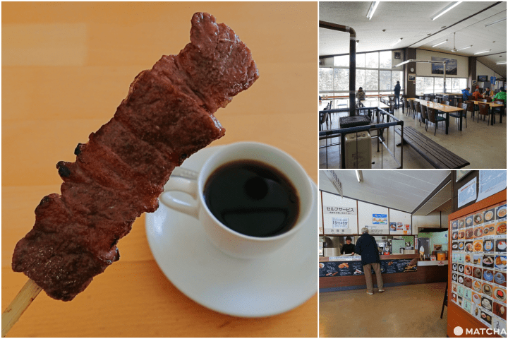 ชินโฮทากะโรปเวย์ (Shinhotaka Ropeway)