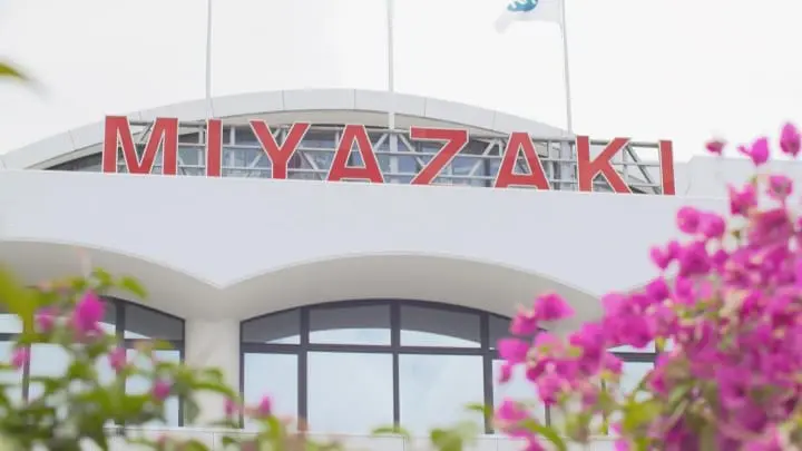 写真映えスポットがいっぱい！九州・宮崎の絶対行きたい10スポット＆絶品8グルメ