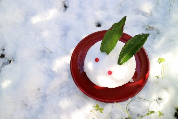 Loved By Everyone In Japan! Ice Cream Wrapped In Mochi - Yukimi Daifuku