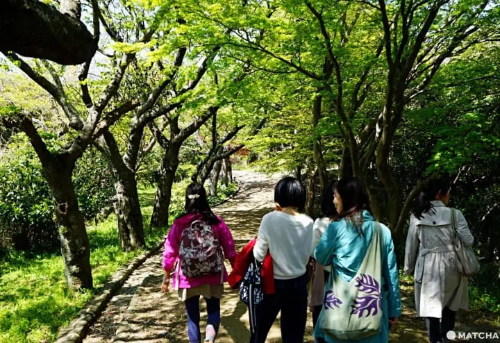 Kamakura Day Trip - Zen Meditation, Shrines, And Hiking