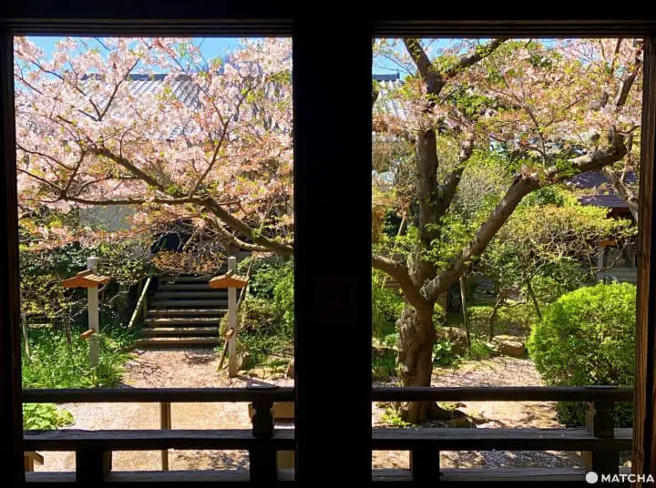 Kamakura Day Trip - Zen Meditation, Shrines, And Hiking