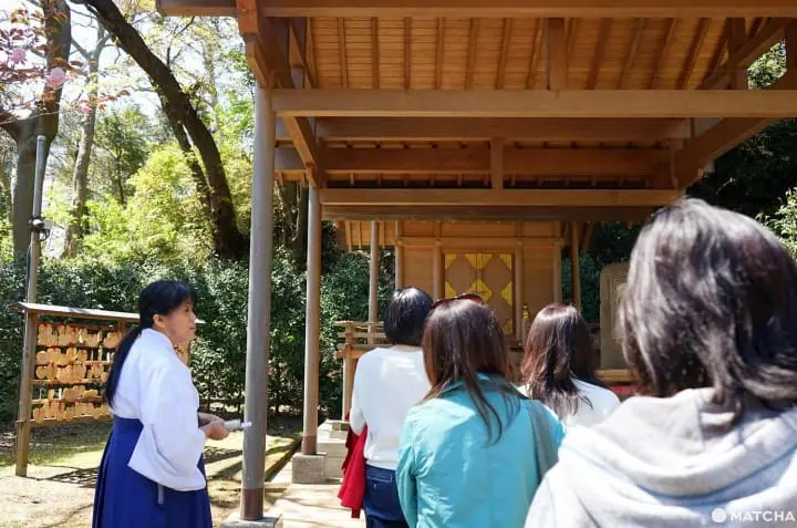 Kamakura Day Trip - Zen Meditation, Shrines, And Hiking
