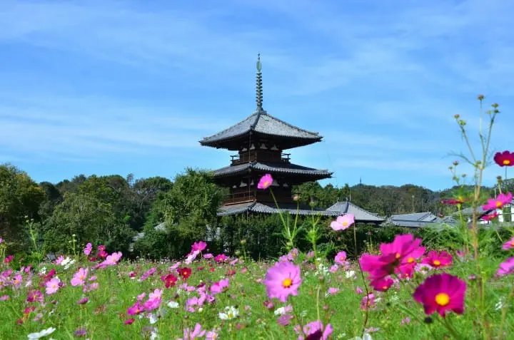 Nara 2023 Edition: 15 Things To See and Do! World Heritage Sites and Local Cuisine
