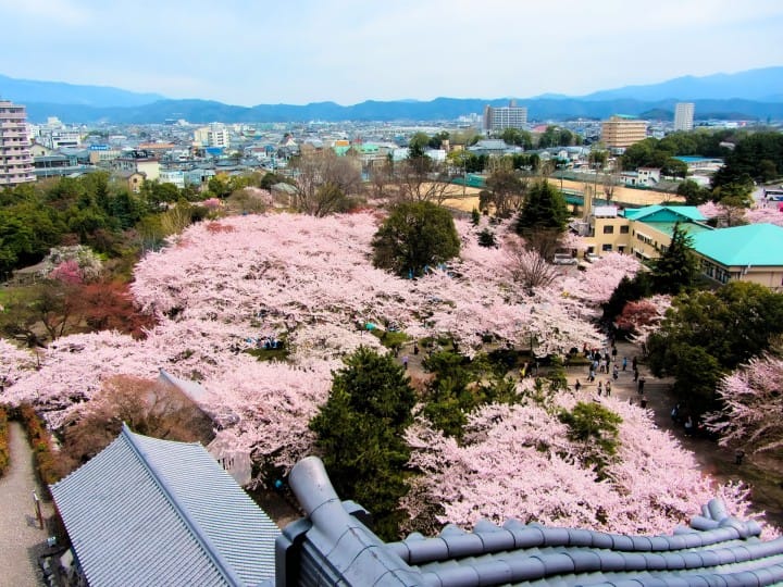 『滋賀』長濱下町街景 百年歷史古都風情