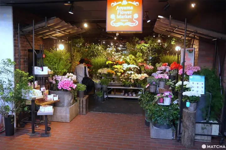 怎麼拍怎麼美！花屋咖啡廳三選！（おしゃれな花屋カフェ3選）