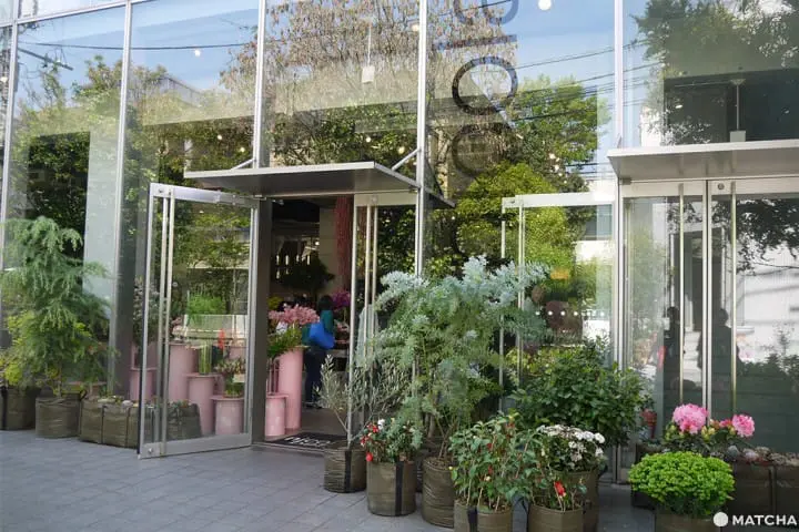 怎麼拍怎麼美！花屋咖啡廳三選！（おしゃれな花屋カフェ3選）