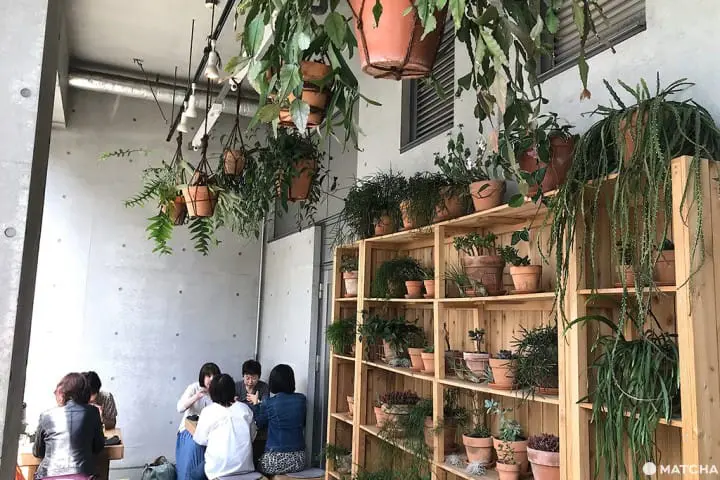 怎麼拍怎麼美！花屋咖啡廳三選！（おしゃれな花屋カフェ3選）