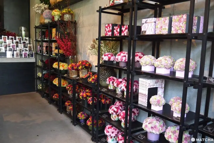 怎麼拍怎麼美！花屋咖啡廳三選！（おしゃれな花屋カフェ3選）