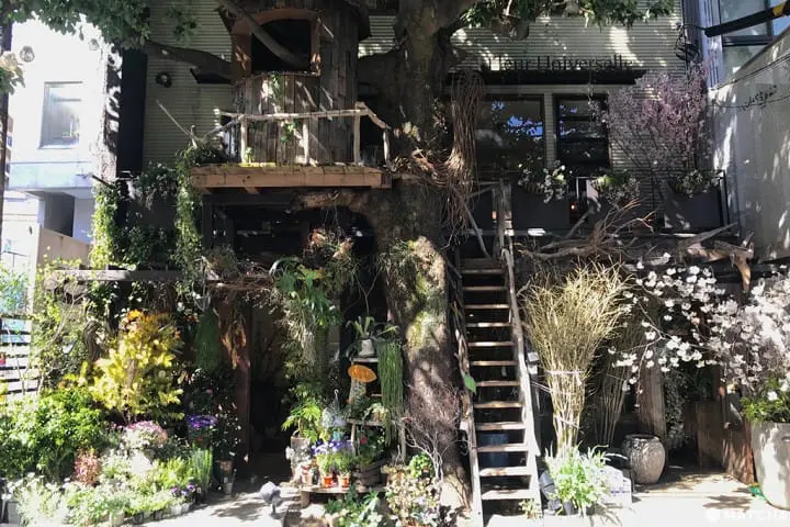 怎麼拍怎麼美！花屋咖啡廳三選！（おしゃれな花屋カフェ3選）