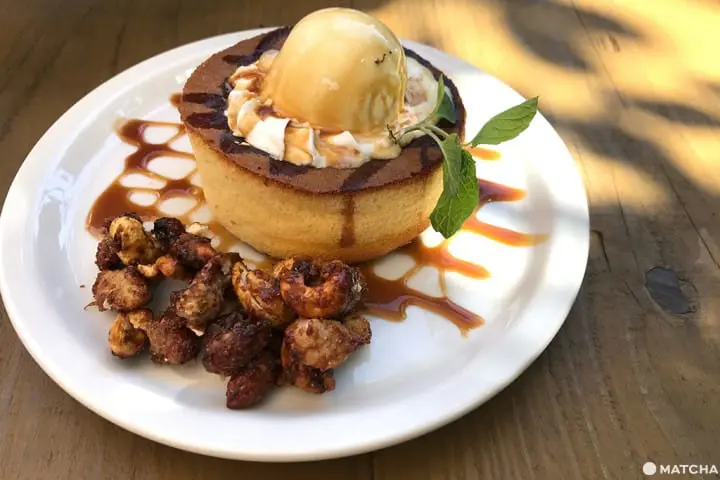 怎麼拍怎麼美！花屋咖啡廳三選！（おしゃれな花屋カフェ3選）