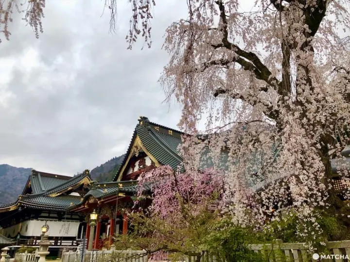 ［山梨县］绝对没去过的秘境身延町-山Ｘ湖Ｘ百年温泉