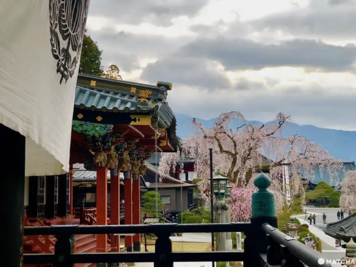 ［山梨县］绝对没去过的秘境身延町