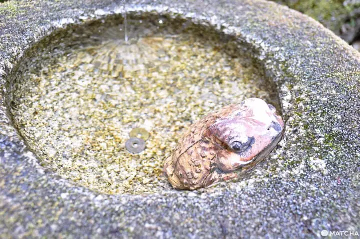 【大阪】老屋與食器交織的魔幻空間-Kaico Cafe