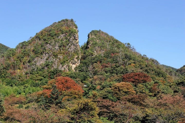 新潟