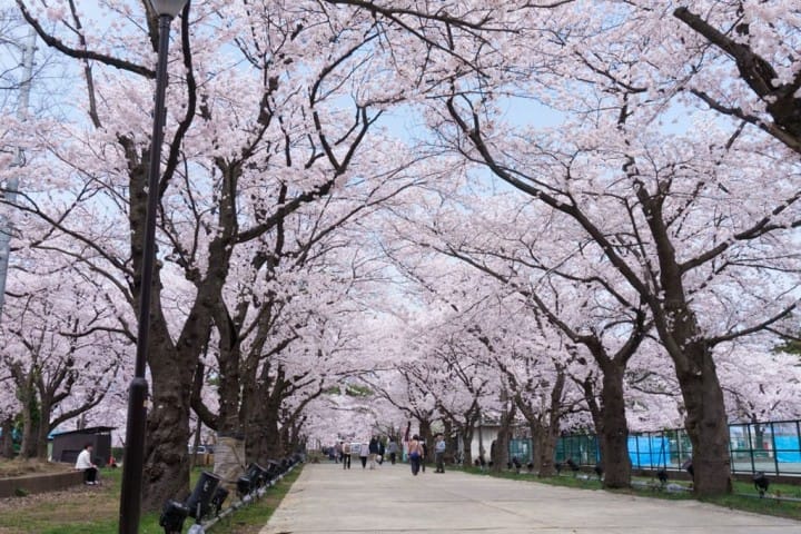 新潟