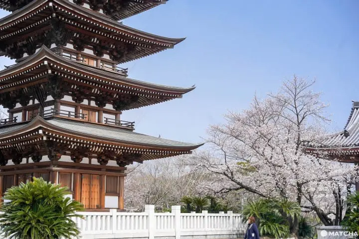 名古屋覺王山寺