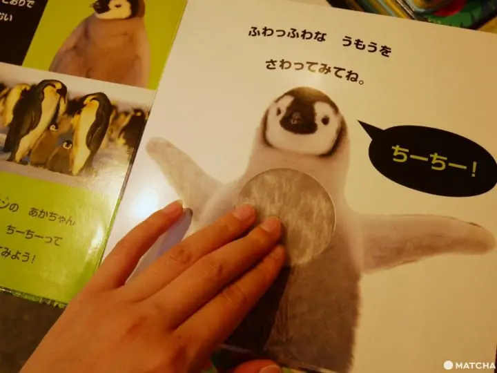 立体绘本专卖店「Meggendorfer」