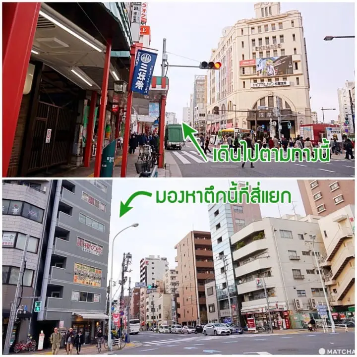 เที่ยวไม่เหมือนใครที่ คาเฟ่แมวจรหาบ้าน 