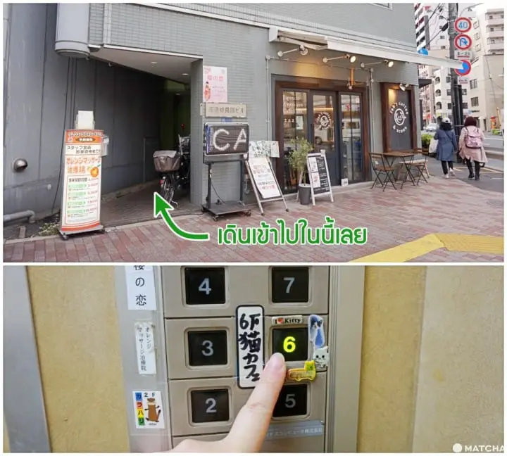 เที่ยวไม่เหมือนใครที่ คาเฟ่แมวจรหาบ้าน 