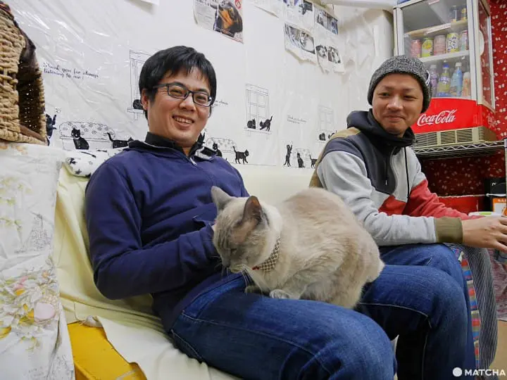 เที่ยวไม่เหมือนใครที่ คาเฟ่แมวจรหาบ้าน 