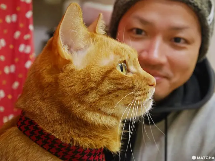 เที่ยวไม่เหมือนใครที่ คาเฟ่แมวจรหาบ้าน 