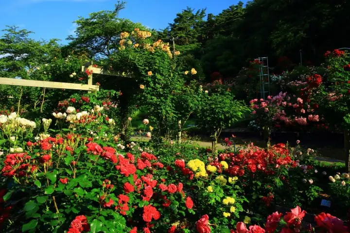 岩手でやりたいこと15選・アクセスまとめ（歴史スポット・自然・グルメ）