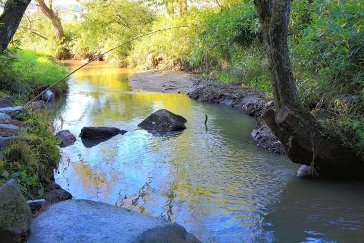 岩手でやりたいこと15選・アクセスまとめ（歴史スポット・自然・グルメ）