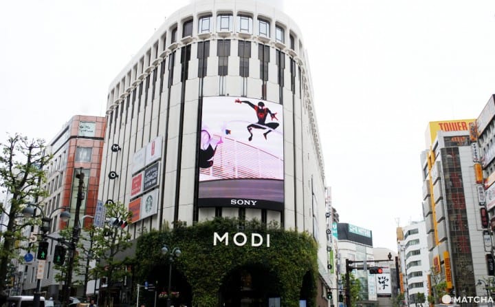 modi 涩谷
