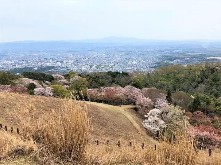 NARA ON AND OFF THE BEATEN PATH